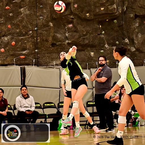 Women Inter collegiate varsity Volleyball  George Brown Huskies Centennial College Colts