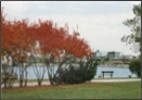 Bluffers Park